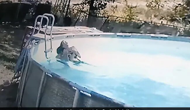 10 Year Old Boy Jumped In The Swimming Pool To Saves His Mom From Drowning Then What Happened Next See Viral Video