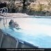 10 Year Old Boy Jumped In The Swimming Pool To Saves His Mom From Drowning Then What Happened Next See Viral Video