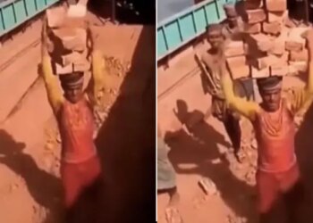 You Will Get Tired Of Counting The Bricks Placed By This Man On His Head Netizens Said He Is Brikendra Bahubali – इस आदमी के सिर पर रखीं ईंटें गिनते गिनते थक जाएंगे आप, नेटिजंस बोले