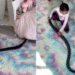 Girl Playing With A Dangerous Black Snake | Shocking Video Of Girl Seen Fun With The Dangerous Black Snake