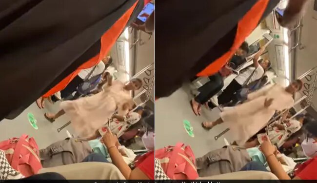Girl Dance In Delhi Metro While Friend Recording Her Internet Loves It See Viral Video – दिल्ली मेट्रो में Reels बनाने के लिए डांस कर रही थी लड़की, सहेली बना रही थी Video, लोग बोले