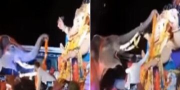 Ganesh Chaturthi 2022: Elephant Garlanded Lord Ganesh With Its Trunk In A Viral Video | Gajraj Did Something Like This To Welcome Lord Ganesha – गजराज ने माला पहनाकर यूं किया भगवान श्री गणेश का वेलकम, लोग बोले