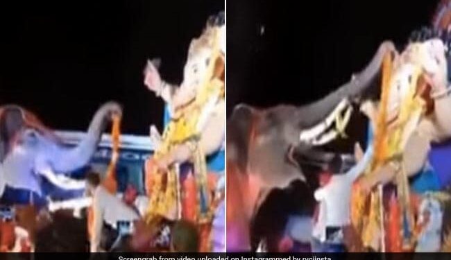 Ganesh Chaturthi 2022: Elephant Garlanded Lord Ganesh With Its Trunk In A Viral Video | Gajraj Did Something Like This To Welcome Lord Ganesha – गजराज ने माला पहनाकर यूं किया भगवान श्री गणेश का वेलकम, लोग बोले