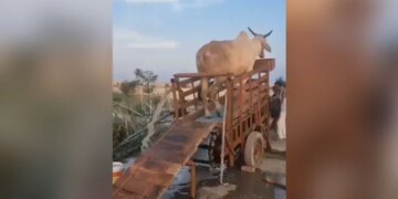 Villagers Made Special Jugaad To Extract Water: Villagers Made Jugaad To Extract Water From Under The Ground