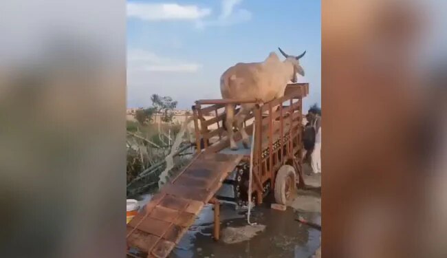 Villagers Made Special Jugaad To Extract Water: Villagers Made Jugaad To Extract Water From Under The Ground