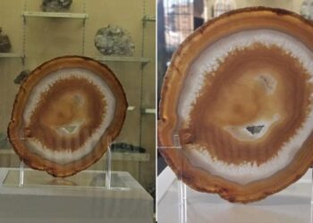 Queen Elizabeths Likeness Found In A Cut And Polished Agate Slice This Is How It Was Found