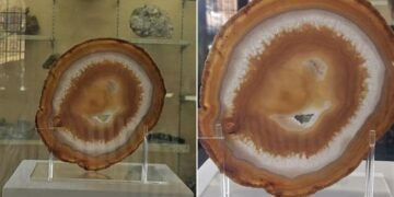 Queen Elizabeths Likeness Found In A Cut And Polished Agate Slice This Is How It Was Found