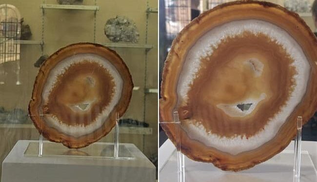 Queen Elizabeths Likeness Found In A Cut And Polished Agate Slice This Is How It Was Found