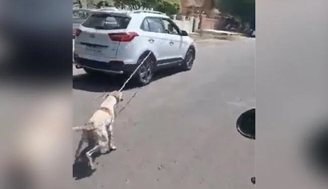 Painful Video: This Cruel Person Dragged The Dog On The Road After Tying It In The Car, This Video Is Terrible
