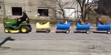 Elderly Man Builds Train To Take Rescued Stray Dogs On Rides See Video