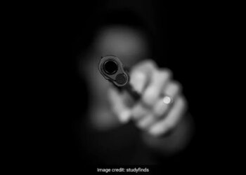 The Woman Took Out Rs 10 Lakh By Showing A Fake Gun And Also Made A Video Of It, People Are Shocked