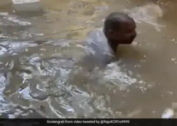 Floods In Bengaluru: Home Made Swimming Pool, Video Of A Man Swimming Goes Viral On Social Media