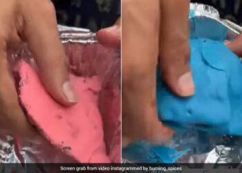 WATCH: Delhi Food Outlet Serves Strawberry And Blueberry Samosa See Social Media Users Reactions