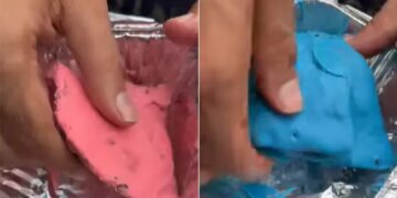 WATCH: Delhi Food Outlet Serves Strawberry And Blueberry Samosa See Social Media Users Reactions