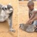 Viral Video: Anand Mahindra Shared Funny Lemur Video: When A Lemur Asked Kids To Scratch Its Back See Reaction On Social Media