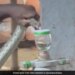 IAS Officer Shares Video Of Irula Tribe Member Extracting Snake Venom Has Left Internet Amazed Watch