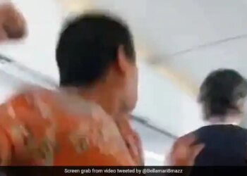 Passenger Punches Flight Attendant After Argument In American Airlines See Viral Video – फ्लाइट अटेंडेंट से हुई कहासुनी, तो गुस्से में यात्री ने मार दिया मुक्का, लगा आजीवन प्रतिबंध