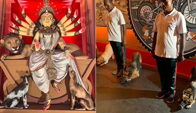 Kolkata Pet Friendly Durga Puja: Dog Squad Of Kolkata Police Inaugurates First Pet Friendly Durga Puja Pandal