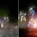 Saand Ka Video: Indian Bison Attacks Auto Rickshaw Video Of Indian Bison Ramming Into Autorickshaw | Angry Bull Suddenly Attacked On Auto