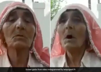 Dadi Speaks Fluent English On Mahatma Gandhi Internet Shocked See Viral Video – बुजुर्ग महिला ने फर्राटेदार अंग्रेजी में सुनाया महात्मा गांधी पर निबंध, लोग बोले