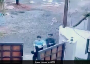 Dogs Ran To Bite, Two Children Saved Their Lives By Running With Great Difficulty, Video Will Disturb