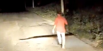 Man Caught Huge Snake With Bare Hands Picked It Up Then What Happened Next See Shocking Viral Video