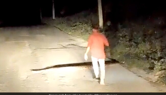 Man Caught Huge Snake With Bare Hands Picked It Up Then What Happened Next See Shocking Viral Video