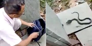 Viral Video: Dangerous Black Snake Came Out Of School Bag Of Girl Student, People Were Surprised To See The Video