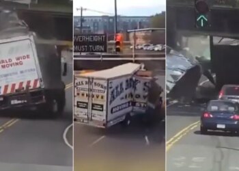 Dangerous Road Accident Video: Shocking Video Of Speeding Truck Accidents Is Going Viral On Social Media Video Of Horrific Truck Accident Goes Viral