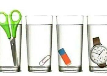 Optical Illlusion: You Know What Which Glass Has More Water | Brain Challenge | Puzzle | If You Consider Yourself Smart Then Tell Which Glass Has More Water