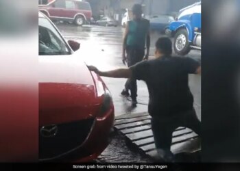 Boss Fell Down In Water In Front Of Employee Funny Video Goes Viral