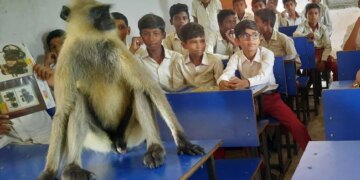 Monkey Attending Classes With Students At Jharkhand Government School See Viral Video – बच्चों के साथ क्लास में बैठकर पढ़ाई करता है ये बंदर, वायरल हुआ Video, लोग बोले