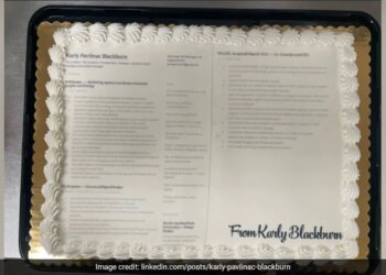 US Woman Sends Resume Cake To Nike: US Woman Sends Edible Resume Printed On A Cake To Nike