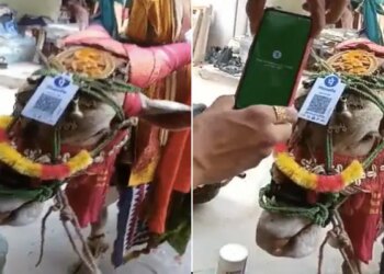 Man Scans QR Code On Cow Head To Donate Money : Man Scans Qr Code On Cows Head To Donate Money Watch Video