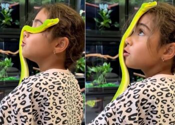 Shocking: Video Of Snake Climbing On Little Girls Head Goes Viral On Internet