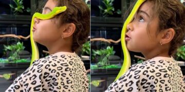 Shocking: Video Of Snake Climbing On Little Girls Head Goes Viral On Internet