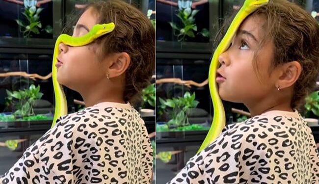 Shocking: Video Of Snake Climbing On Little Girls Head Goes Viral On Internet