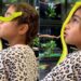 Shocking: Video Of Snake Climbing On Little Girls Head Goes Viral On Internet