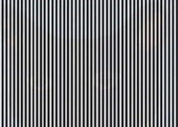 Optical Illusion: Owl Or Cat In This Picture Aunty, Who Will Be Intelligent To Answer In 4 Seconds