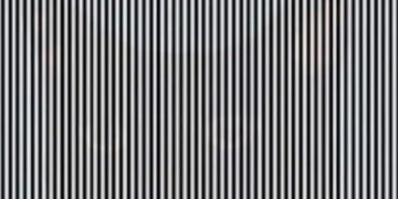Optical Illusion: Owl Or Cat In This Picture Aunty, Who Will Be Intelligent To Answer In 4 Seconds