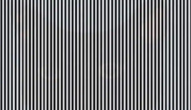 Optical Illusion: Owl Or Cat In This Picture Aunty, Who Will Be Intelligent To Answer In 4 Seconds