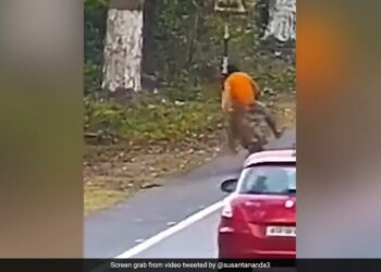 Leopard Attacked A Man Going On A Bicycle Jumped Up From Behind Then This Happened Old Video Viral
