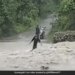 Caught On Camera: A Young Man Drowned In A Raging River, People Were Surprised To See The Video On Social Media
