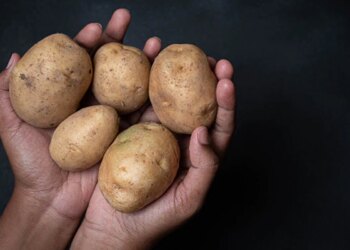 Man Orders Drone Camera From Online Shopping Receives Potatoes Instead In Bihar See Viral Video