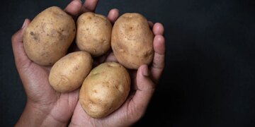 Man Orders Drone Camera From Online Shopping Receives Potatoes Instead In Bihar See Viral Video
