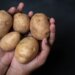 Man Orders Drone Camera From Online Shopping Receives Potatoes Instead In Bihar See Viral Video