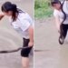 Snake Video: A Video Of Snake Encounter Goes Viral | What To Do If You Encounter A Snake King Cobra Giant Snake Running Away From Woman