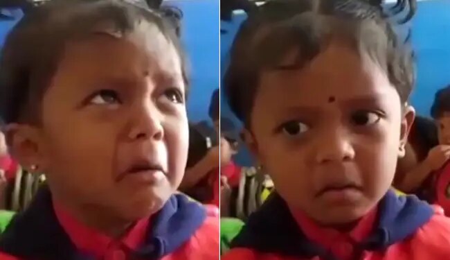 Teacher Student Funny Video: Funny Video Of A Cute Little Girl Answering The Teachers Question Goes Viral On Social Media