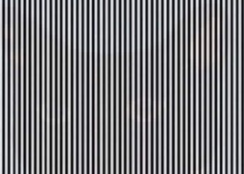 Such A Creature Is Hidden In This Picture, After Recognizing Which You Will Be Called The Fastest Person