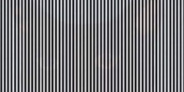 Such A Creature Is Hidden In This Picture, After Recognizing Which You Will Be Called The Fastest Person